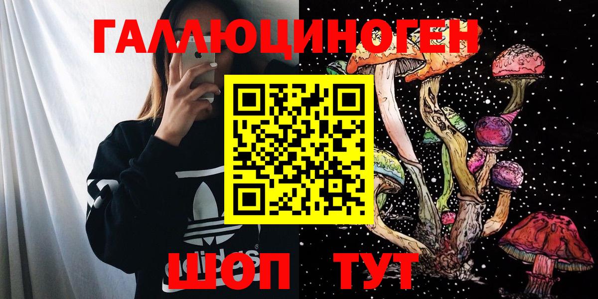 Шахты  Псилоцибиновые грибы Psilocybine cubensis  Вход с VPN 